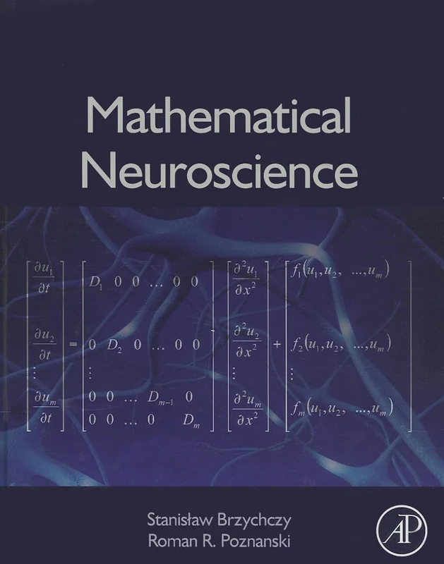 Mathematical Neuroscience