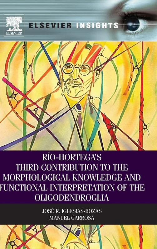 Río-Hortegas Third Contribution to the Morphological Knowledge and Functional Interpretation of the Oligodendroglia