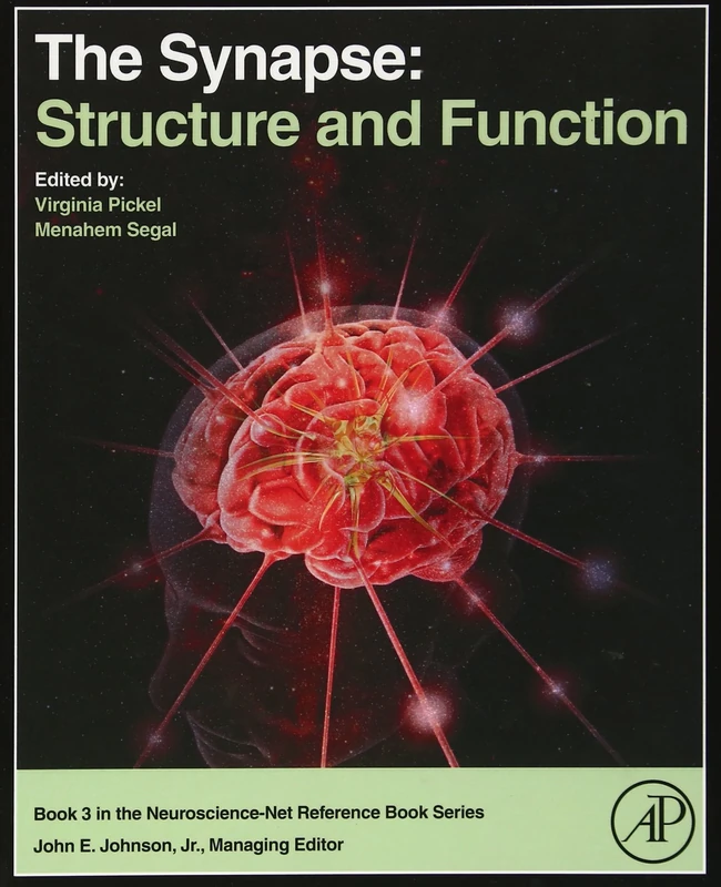 The Synapse: Structure and Function: 03 (Neuroscience-Net Reference)