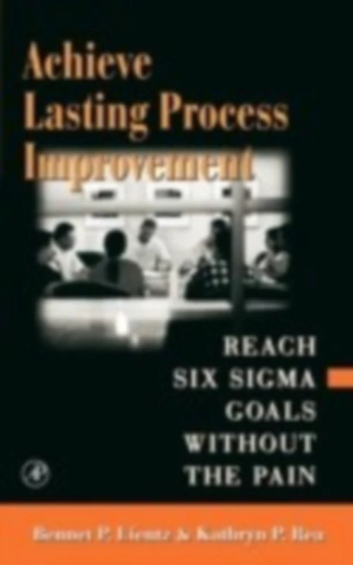 Achieve Lasting Process Improvement: Reach Six Sigma Goals without the Pain