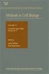 Methods in Cell Biology: Cumulative Subject Index Volumes 53-71: Cumulative Index v. 53-71: Volume 73 (Methods in Cell Biology, Volume 73)