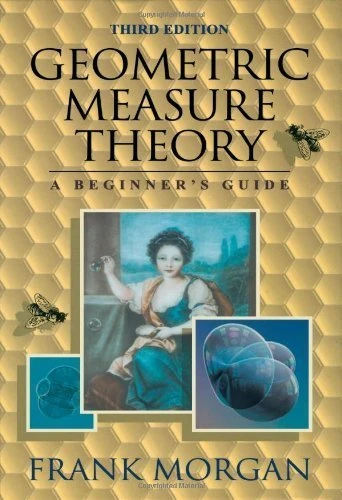Geometric Measure Theory: A Beginner's Guide - Image 1