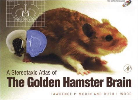 A Stereotaxic Atlas of the Golden Hamster Brain