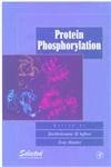 Protein Phosphorylation (Selected Methods in Enzymology)