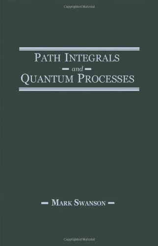 Path Integrals and Quantum Processes