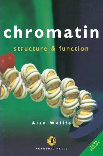 Chromatin: Structure and Function