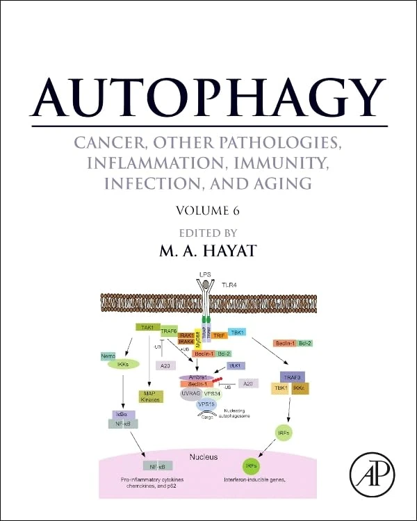 Autophagy: Cancer, Other Pathologies, Inflammation, Immunity, Infection, and Aging: Regulation of Autophagy and Selective Autophagy Volume 6