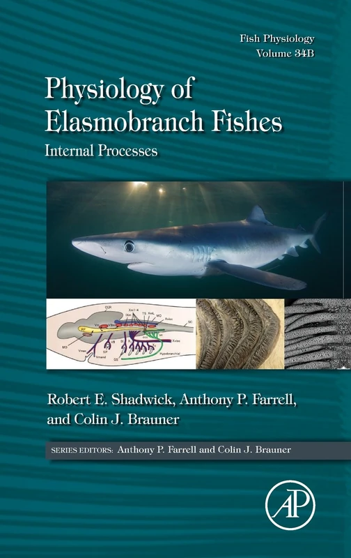 Physiology of Elasmobranch Fishes: Internal Processes: Volume 34B: Fish Physiology (Fish Physiology, Volume 34B)