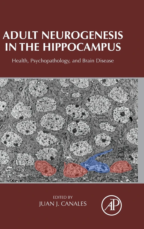 Adult Neurogenesis in the Hippocampus: Health, Psychopathology, and Brain Disease - Image 1