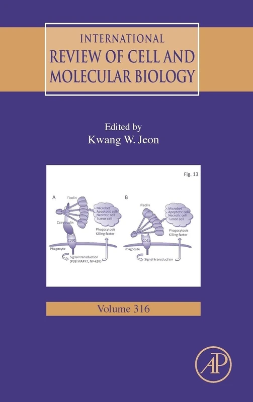 International Review of Cell and Molecular Biology: 316: Volume 316