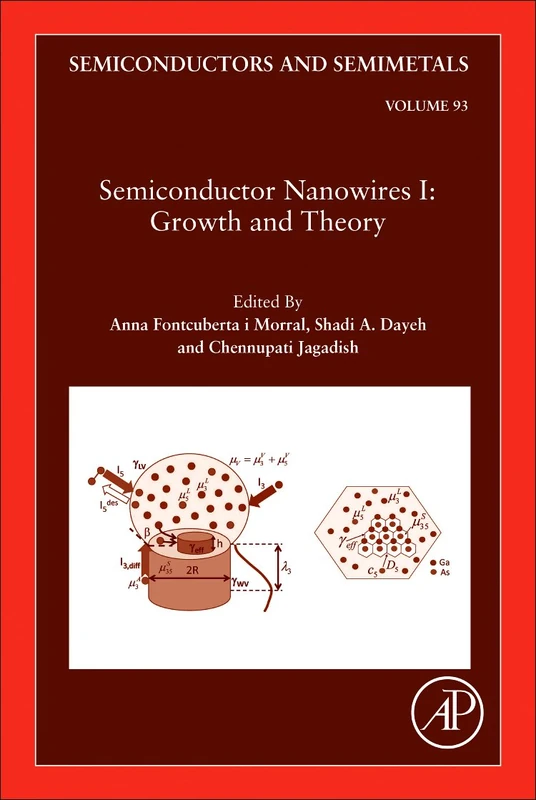 Academic Press Semiconductor Nanowires I: Growth and Theory