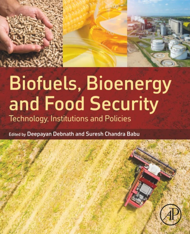 Biofuels, Bioenergy and Food Security: Technology, Institutions and Policies