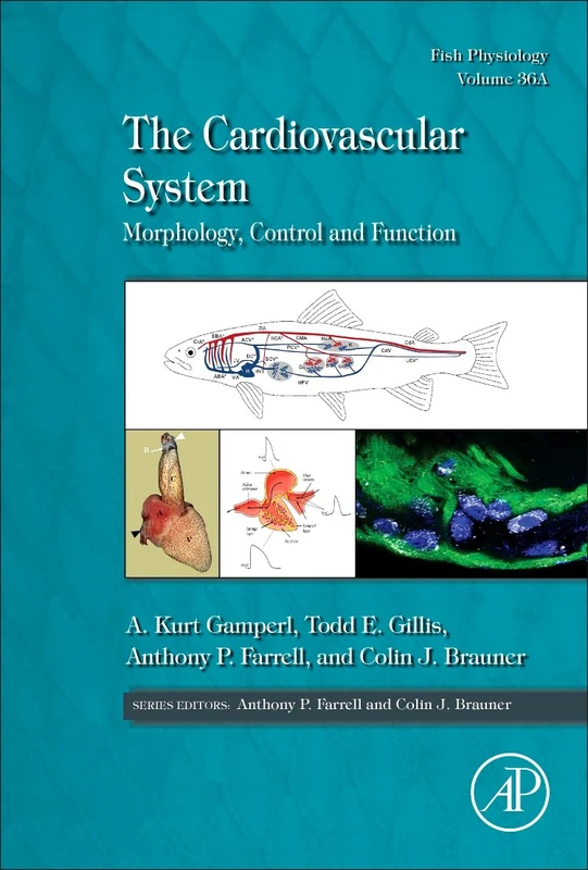 The Cardiovascular System: Morphology, Control and Function (Volume 36A) (Fish Physiology, Volume 36A)