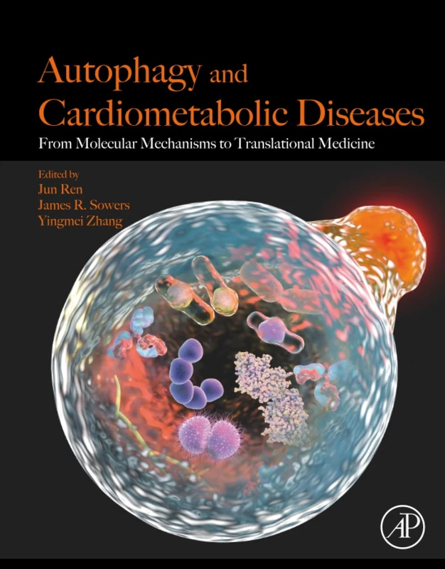 Autophagy and Cardiometabolic Diseases: From Molecular Mechanisms to Translational Medicine