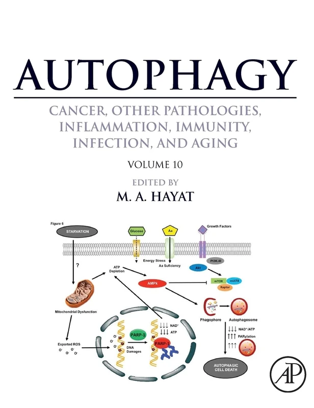 Autophagy: Cancer, Other Pathologies, Inflammation, Immunity, Infection, and Aging: Volume 10