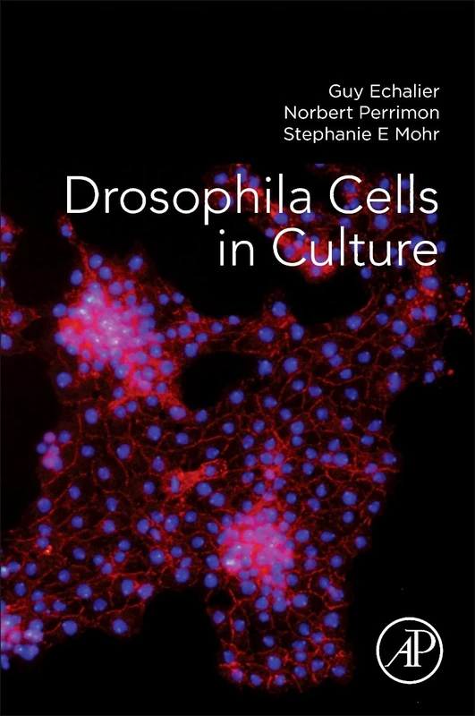 Drosophila Cells in Culture