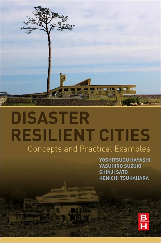 Disaster Resilient Cities: Concepts and Practical Examples