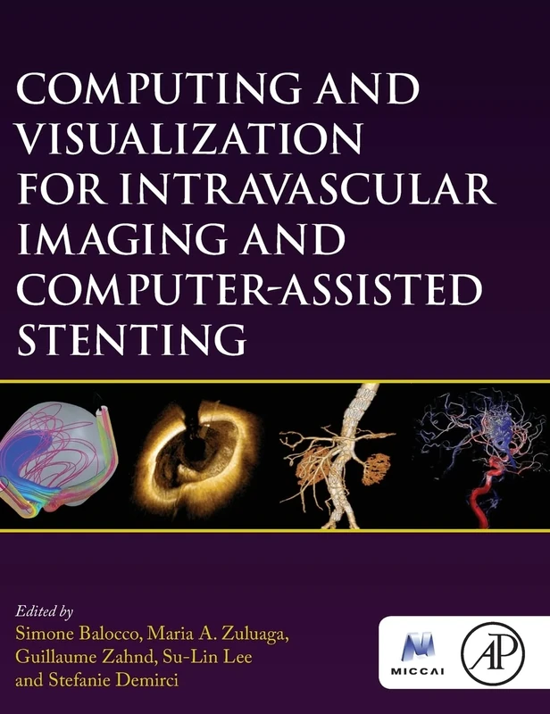 Computing and Visualization for Intravascular Imaging and Computer Assisted Stenting (The MICCAI Society book Series)