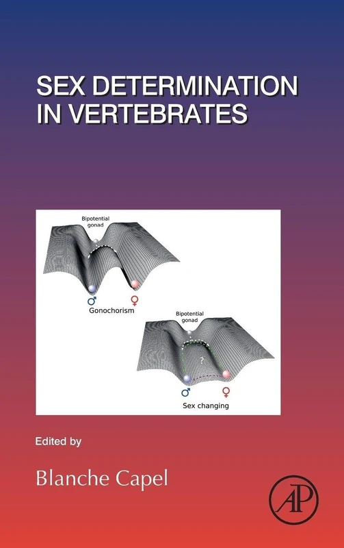 Sex Determination in Vertebrates: Volume 134 (Current Topics in Developmental Biology, Volume 134)