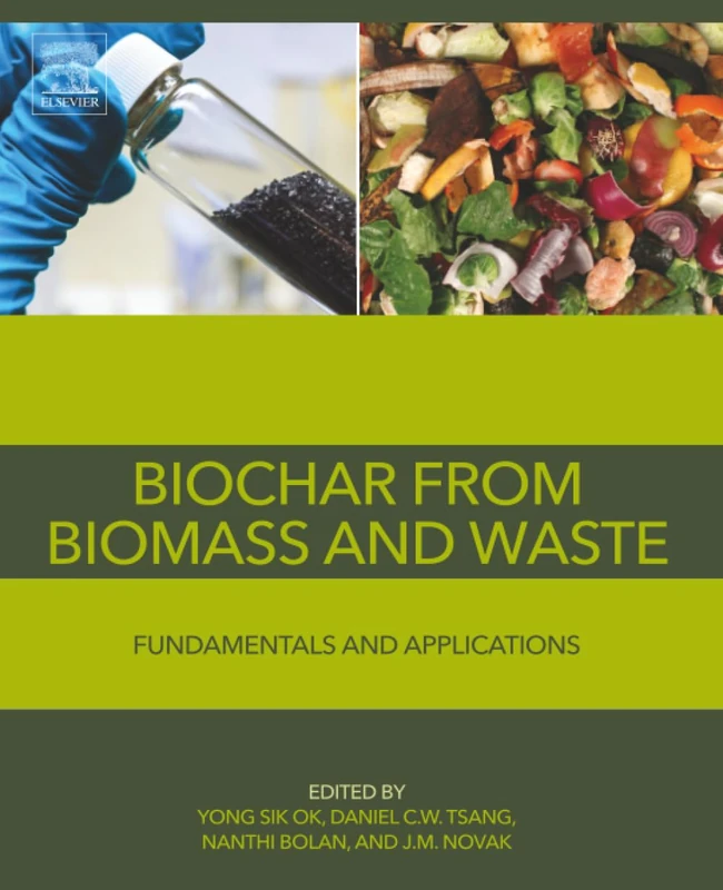 Biochar from Biomass and Waste: Fundamentals and Applications