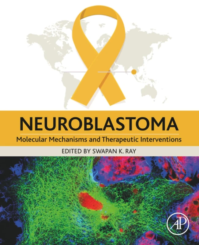 Neuroblastoma: Molecular Mechanisms and Therapeutic Interventions