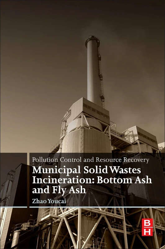 Pollution Control and Resource Recovery: Municipal Solid Wastes Incineration: Bottom Ash and Fly Ash