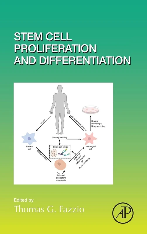 Stem Cell Proliferation and Differentiation: Volume 138 (Current Topics in Developmental Biology, Volume 138) - Image 1