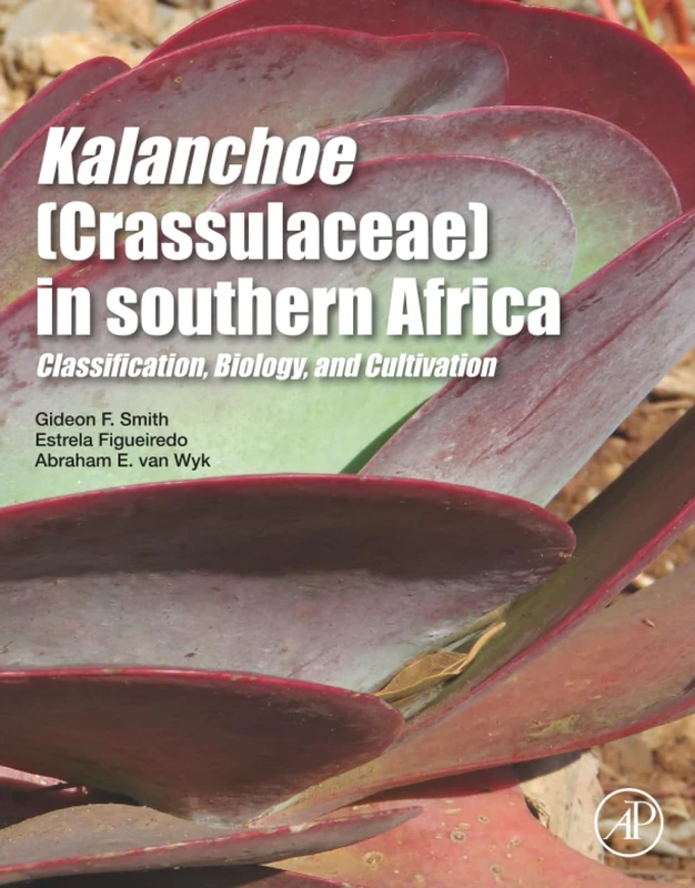 Kalanchoe (Crassulaceae) in Southern Africa: Classification, Biology, and Cultivation - Image 1