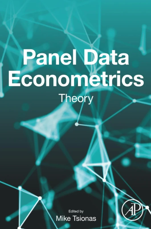 Panel Data Econometrics: Theory