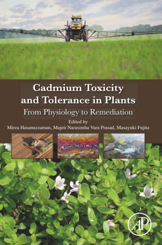 Cadmium Toxicity and Tolerance in Plants: From Physiology to Remediation