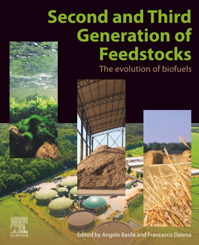 Second and Third Generation of Feedstocks: The Evolution of Biofuels