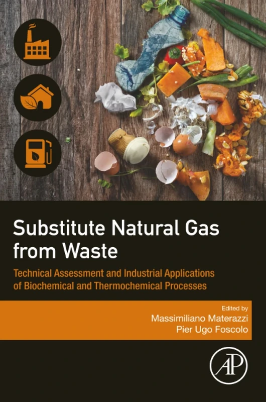 Substitute Natural Gas from Waste: Technical Assessment and Industrial Applications of Biochemical and Thermochemical Processes