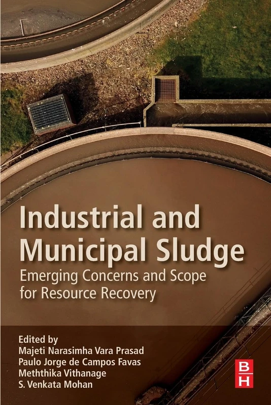 Industrial and Municipal Sludge: Emerging Concerns and Scope for Resource Recovery