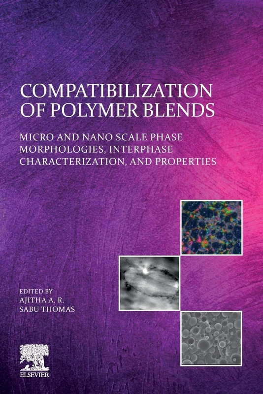 Compatibilization of Polymer Blends: Micro and Nano Scale Phase Morphologies, Interphase Characterization, and Properties