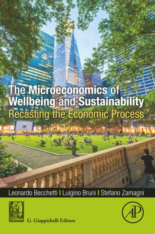 The Microeconomics of Wellbeing and Sustainability: Recasting the Economic Process