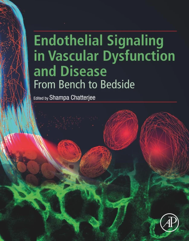 Endothelial Signaling in Vascular Dysfunction and Disease: From Bench to Bedside