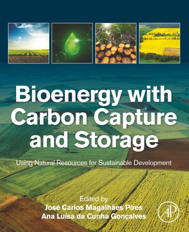 Bioenergy with Carbon Capture and Storage: Using Natural Resources for Sustainable Development