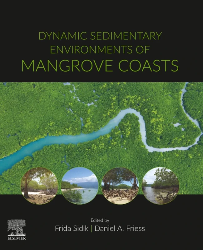 Dynamic Sedimentary Environments of Mangrove Coasts
