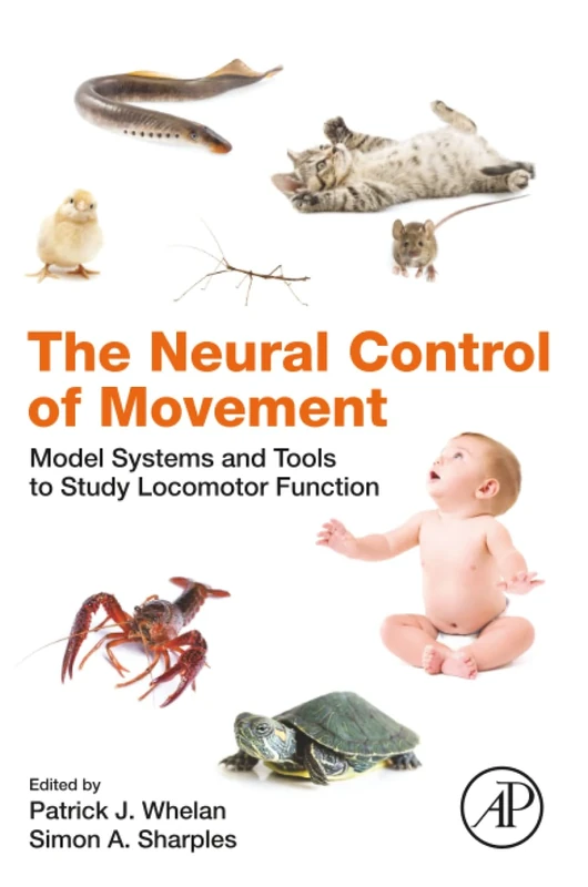 The Neural Control of Movement: Model Systems and Tools to Study Locomotor Function