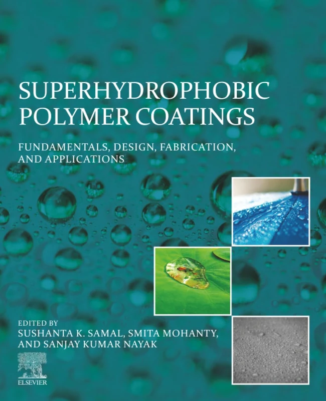 Superhydrophobic Polymer Coatings: Theory and Policy Analysis: Fundamentals, Design, Fabrication, and Applications