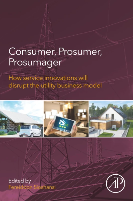 Consumer, Prosumer, Prosumager: How Service Innovations will Disrupt the Utility Business Model