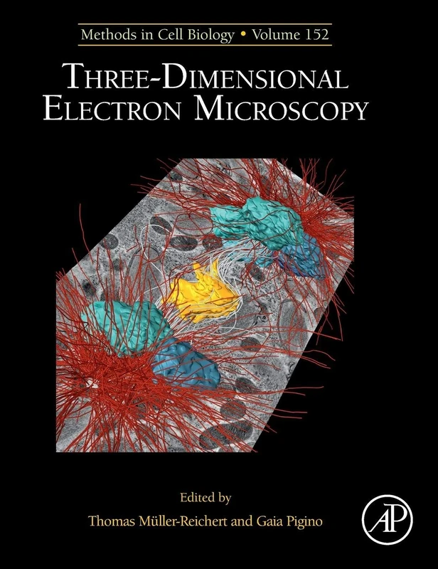 Three-Dimensional Electron Microscopy (Volume 152) (Methods in Cell Biology, Volume 152)