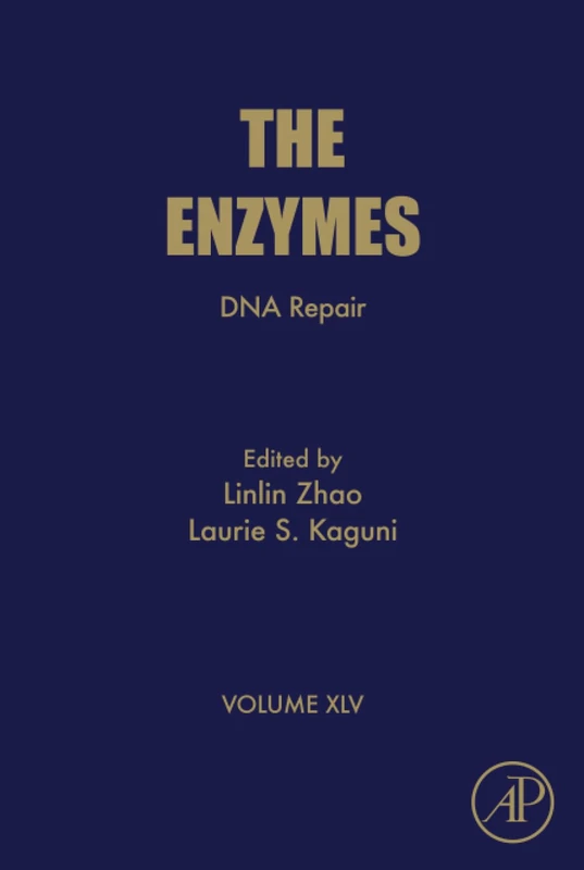 Academic Press DNA Repair: Volume 45 (The Enzymes Series)