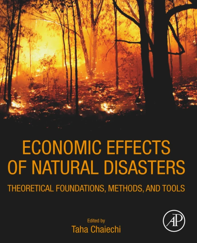 Economic Effects of Natural Disasters: Theoretical Foundations, Methods, and Tools