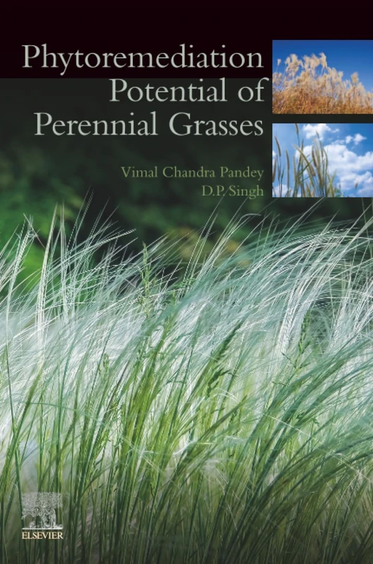 Phytoremediation Potential of Perennial Grasses