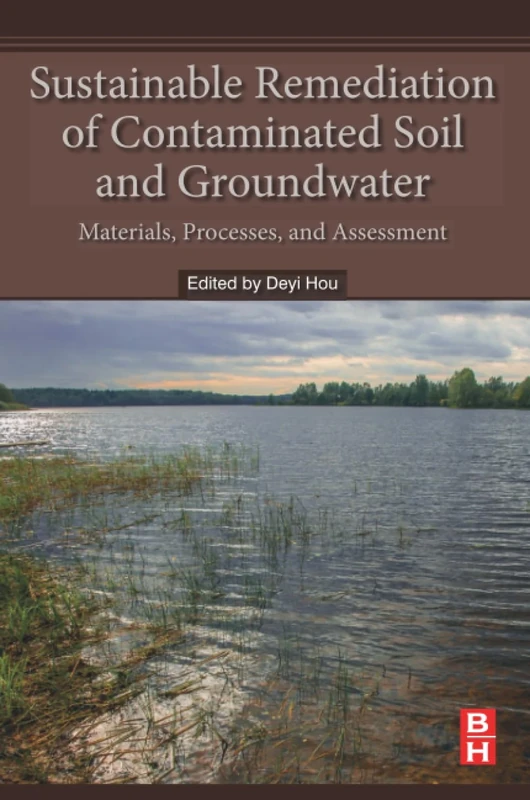 Sustainable Remediation of Contaminated Soil and Groundwater: Materials, Processes, and Assessment