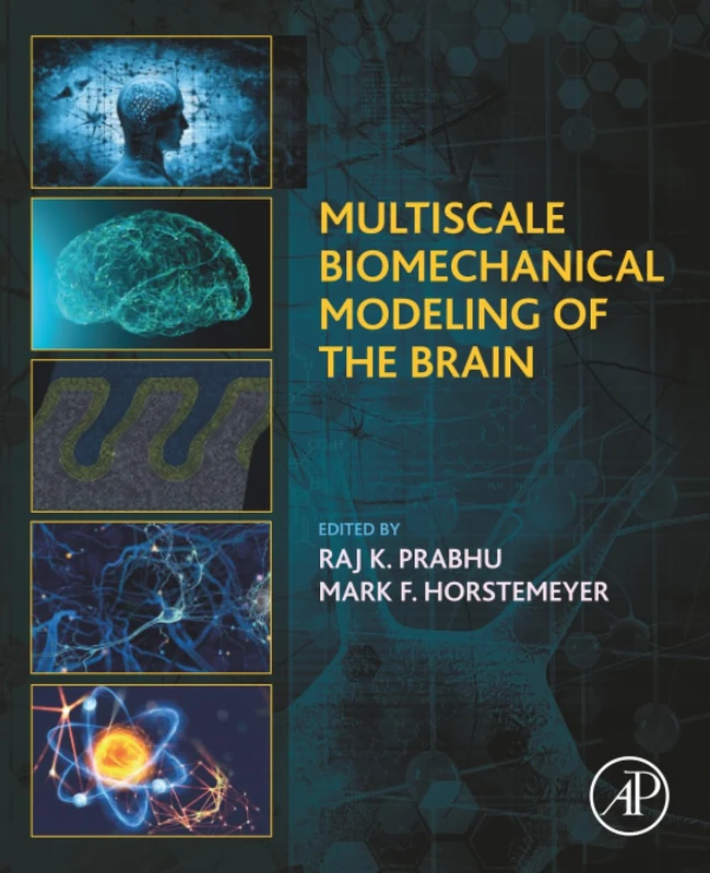 Multiscale Biomechanical Modeling of the Brain