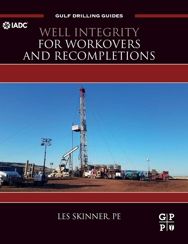 Well Integrity for Workovers and Recompletions (Gulf Drilling Guides) - Image 1