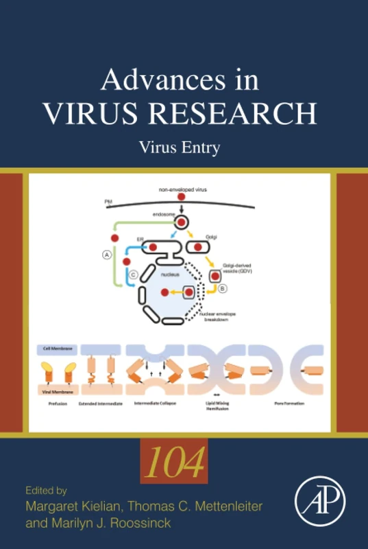 Virus Entry: Volume 104 (Advances in Virus Research, Volume 104)