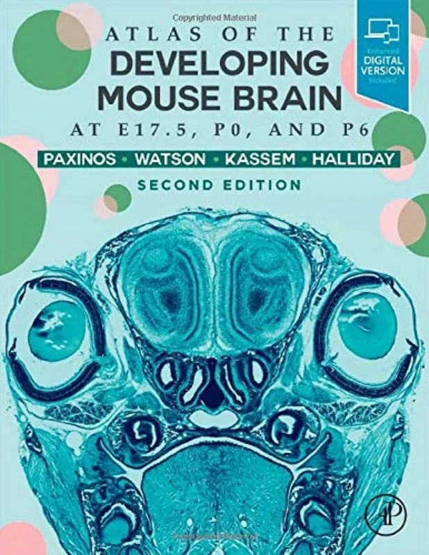 Atlas of the Developing Mouse Brain